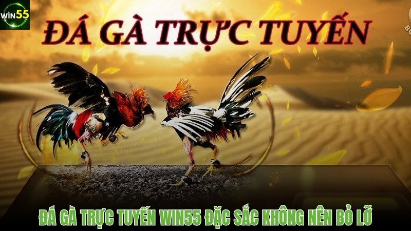 Daga.com – Trang Chuyên Đá Gà với Kèo Kê Chiến Không Thể Bỏ Lỡ